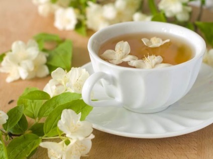 Jasmine ceai verde beneficii și rău, proprietăți utile
