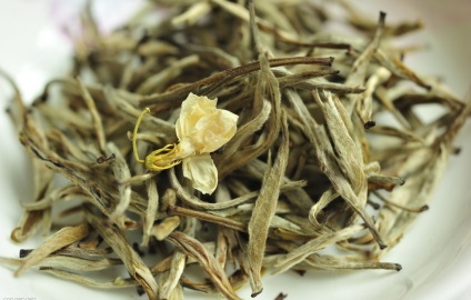 Jázmin zöld tea előnyei és hátrányai, hasznos tulajdonságok