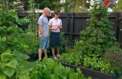 10 cele mai bune idei pentru agricultura ecologică 2015