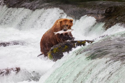 Október 18. - Day of Alaska, az Egyesült Államokban 143 évvel ezelőtt át Alaszka amerikaiak elvesztették Oroszország