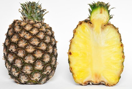 Ananas - specii, soiuri, fructe exotice, ananas decorativ, fotografie, video