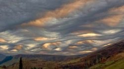 Asperatus - nori frumoși și sinistri (video, fotografie)