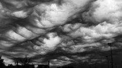 Asperatus - nori frumoși și sinistri (video, fotografie)