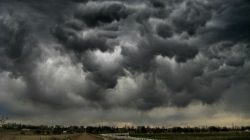 Asperatus - nori frumoși și sinistri (video, fotografie)