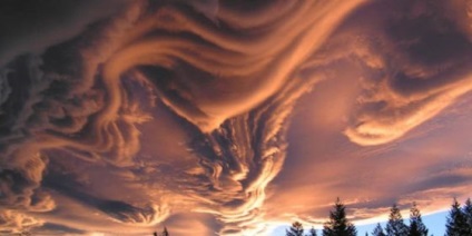 Asperatus - nori frumoși și sinistri (video, fotografie)