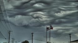 Asperatus - nori frumoși și sinistri (video, fotografie)