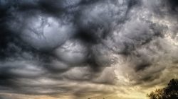 Asperatus - nori frumoși și sinistri (video, fotografie)