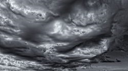 Asperatus - nori frumoși și sinistri (video, fotografie)