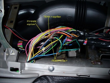 Autorun se auto-instalează de unul singur