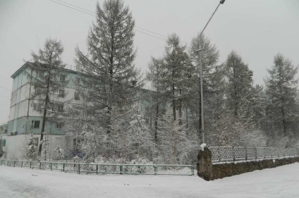 Buds sănătatea sibiena pentru rinichi