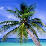 Bahamák, a turizmus és rekreáció a Bahamákon