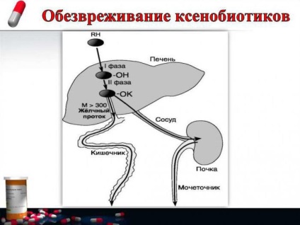 Biotransformarea este ceea ce este