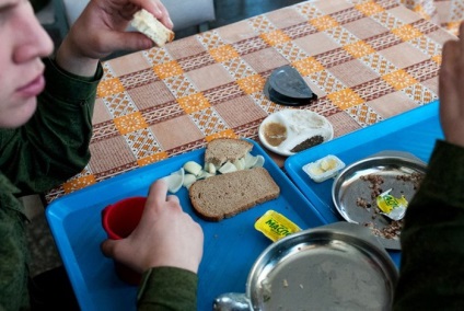 Săptămâni ale militarilor de gardă de onoare (36 fotografii) - trinikisi