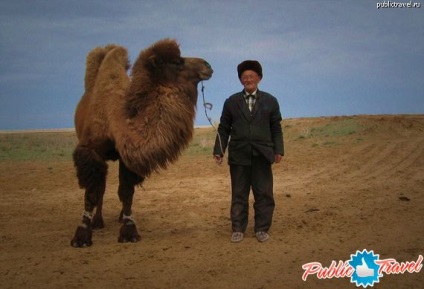 Ce nu poate fi exportat din Kazahstan pe portalul public de călătorie tambov