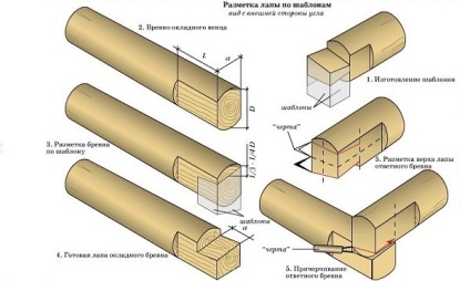 Faházak a technológia épületben telek