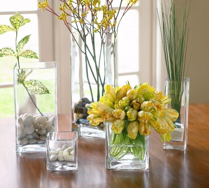 Sticlărie și vase pentru orhidee cumpără în magazinul online ieftin