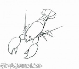 Cum de a desena un homar în creion pas cu pas, video
