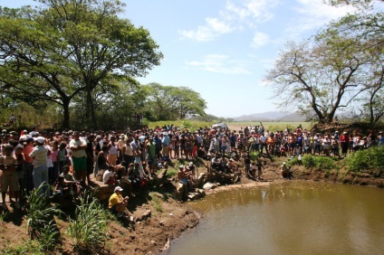 Cum de a vâna crocodili în Costa Rica - o bibliotecă a unui turist