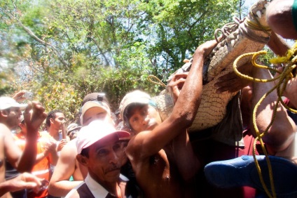 Cum de a vâna crocodili în Costa Rica - o bibliotecă a unui turist