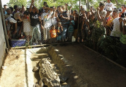 Cum de a vâna crocodili în Costa Rica - o bibliotecă a unui turist