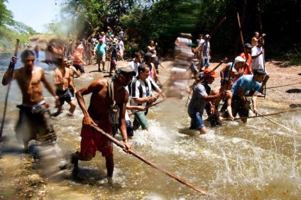 Cum de a vâna crocodili în Costa Rica - o bibliotecă a unui turist