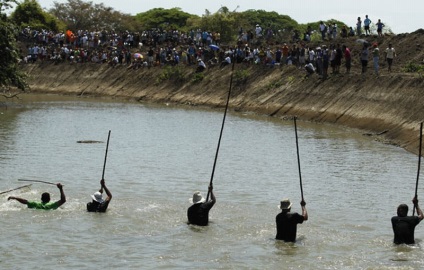 Cum de a vâna crocodili în Costa Rica - o bibliotecă a unui turist