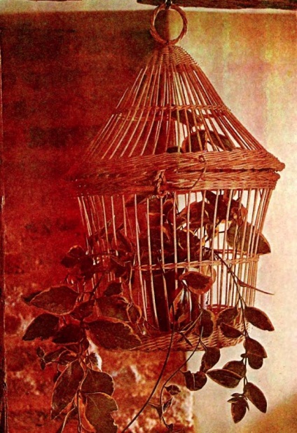 Cage pentru păsări 1