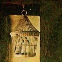 Cage pentru păsări 1