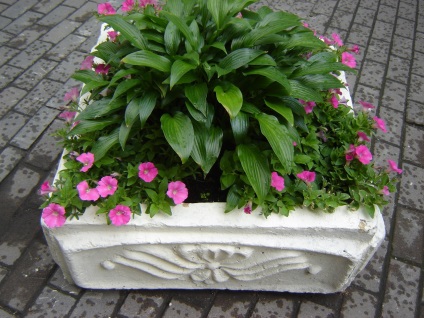 Container gardening - un element universal de design