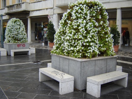 Container gardening - un element universal de design