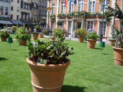 Container gardening - un element universal de design