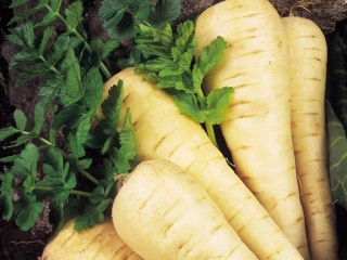 Hrănire iepuri decorative legume, fructe și iarbă - iepurii