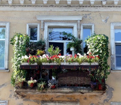 Grădină frumoasă pe balcon, fotografie