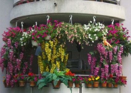 Grădină frumoasă pe balcon, fotografie