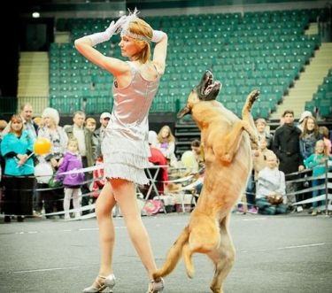 Un dans frumos cu un câine care îți taie răsuflarea