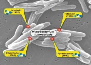 Tratamentul pacienților cu tuberculoză cu medicamente