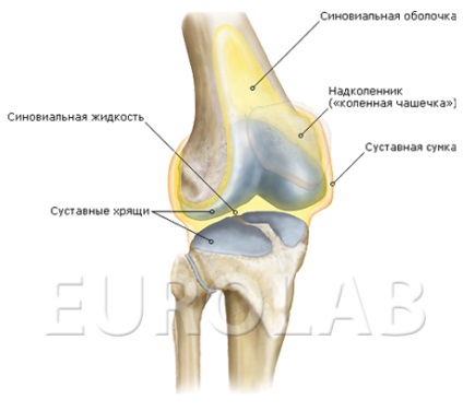 Tratamentul chondromatozelor articulare la genunchi - portal medical eurolab