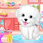 Dog manicure - Joaca jocuri online