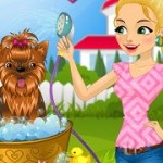 Dog manicure - Joaca jocuri online