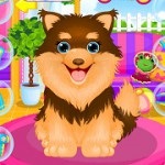 Dog manicure - Joaca jocuri online