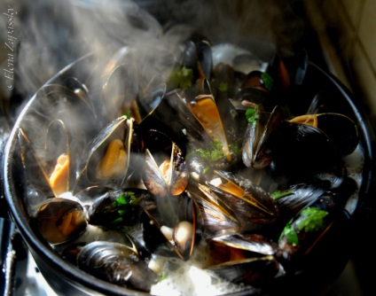 Mussels in sos de marinare moules, retete de la gatit la domiciliu Jafo Jaffa