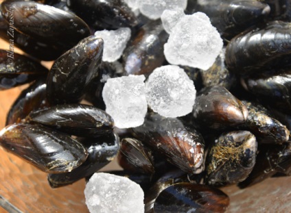 Mussels in sos de marinare moules, retete de la gatit la domiciliu Jafo Jaffa