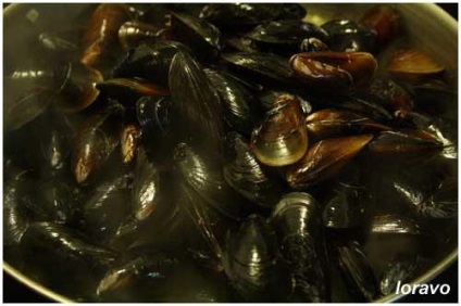 Mușchi într-un sos cu vin alb (moules mariniere), blogul loravo note culinare ale unui designer