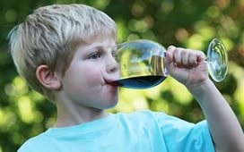 Lehetséges az, hogy a gyerekek inni bort - szakértői vélemény - házi receptek alkohol