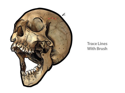 Desenați un craniu vector într-un ilustrator