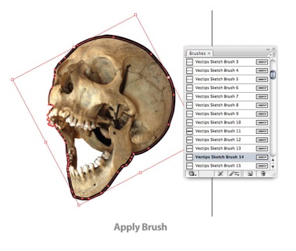 Desenați un craniu vector într-un ilustrator