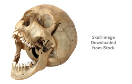 Desenați un craniu vector într-un ilustrator