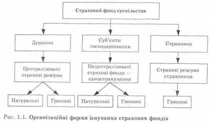 A biztosítási biztosítás szükségessége és formája - a biztosítási üzletág