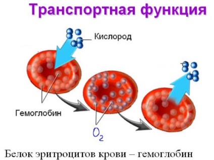 Hemoglobină scăzută după naștere la mamă - ce să faceți