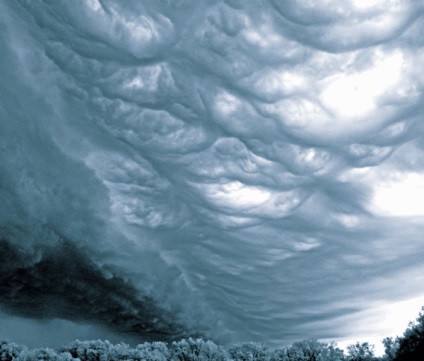 Nori asperatus - o neoformare uimitoare a secolului xx